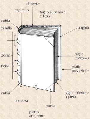 Libro
